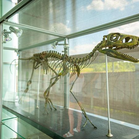 Noclegi Jurapark Krasiejow 外观 照片