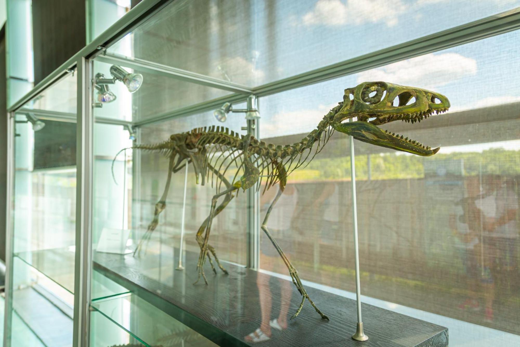 Noclegi Jurapark Krasiejow 外观 照片